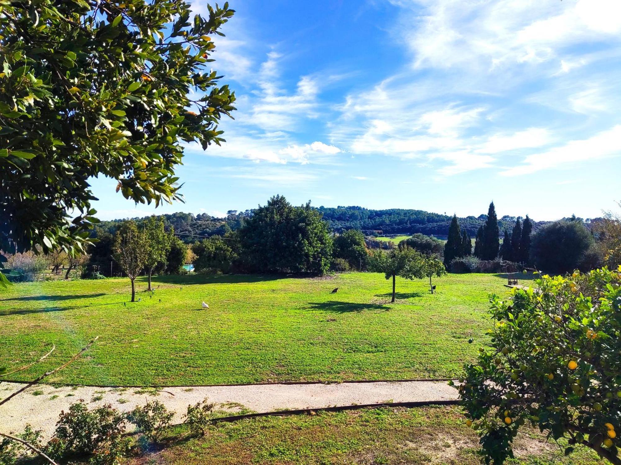 Agroturisme Subies Selva (Mallorca) Exterior foto