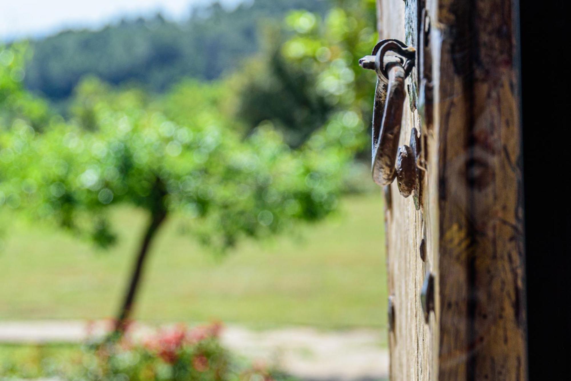 Agroturisme Subies Selva (Mallorca) Exterior foto